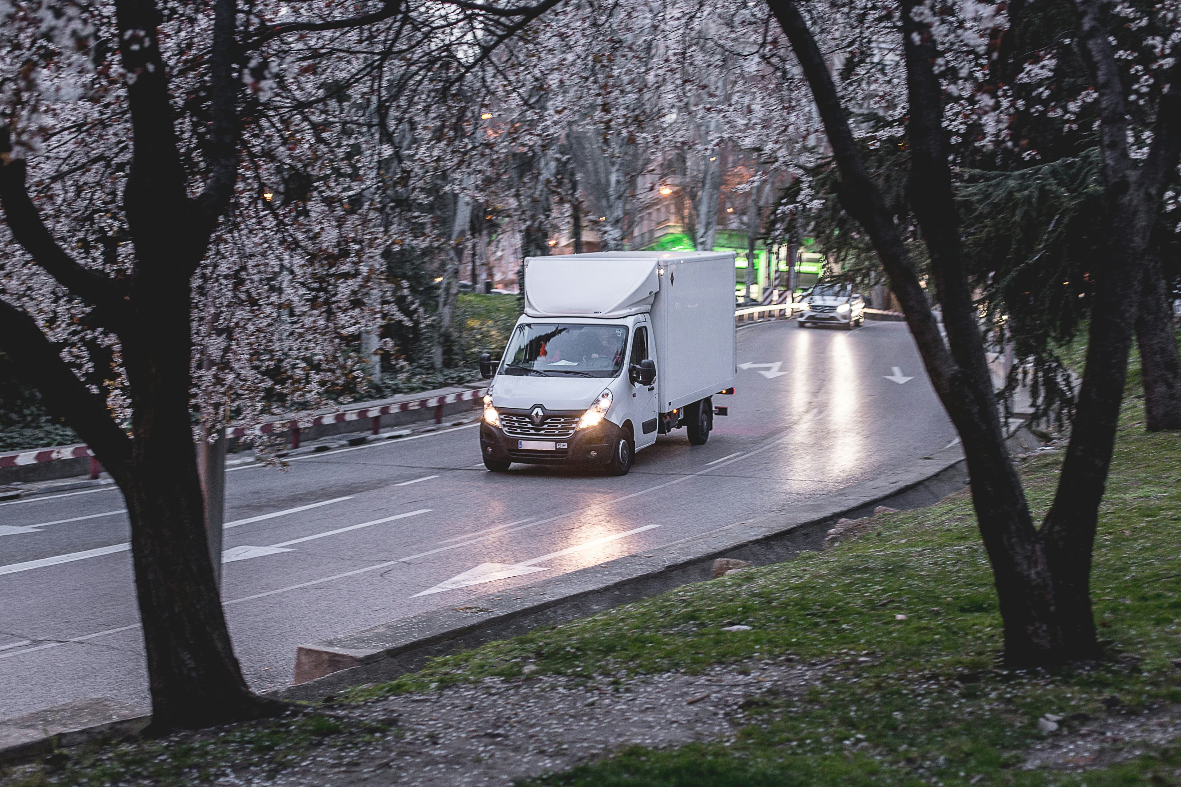 Delivery & Reporting
